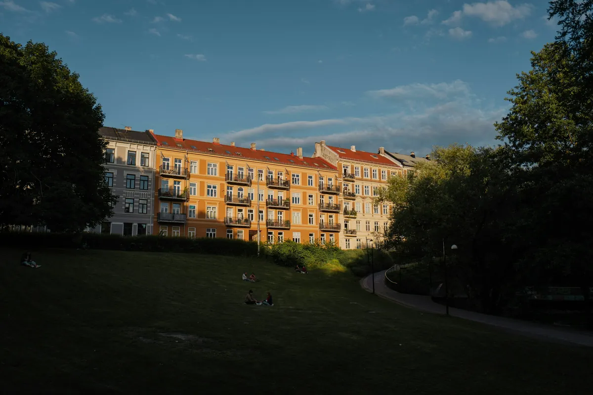 Okergule bygårder på Grünerløkka i Oslo sett fra en park i kveldssol, med gressbakke og trær i forgrunnen